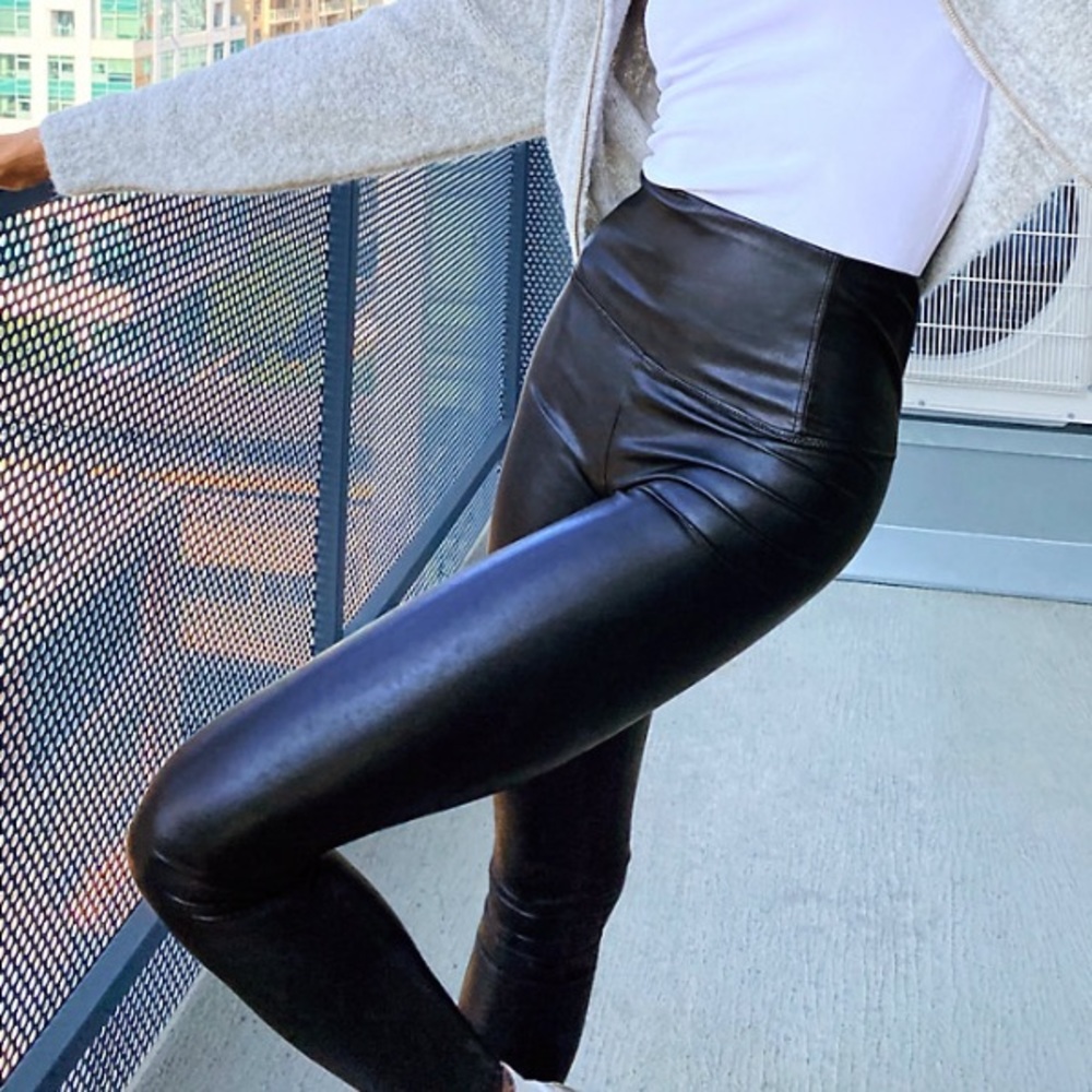 Aritzia Daria Pants (BRAND NEW)